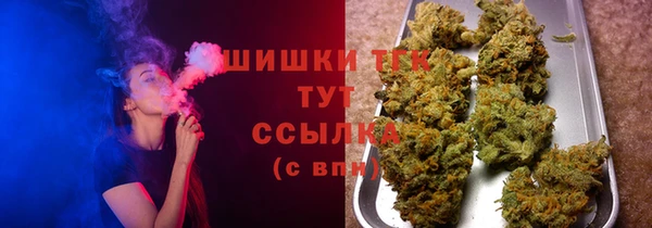 СК Верея