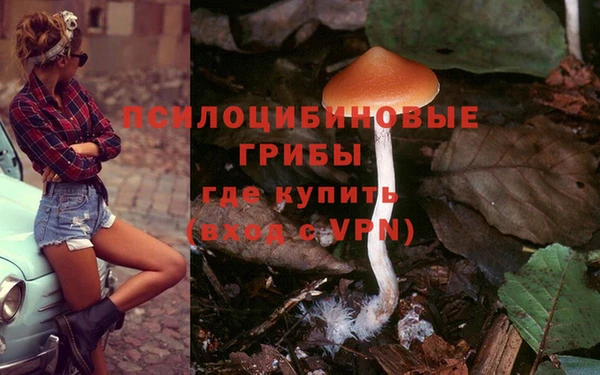 СК Верея