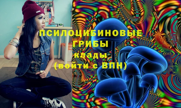 СК Верея
