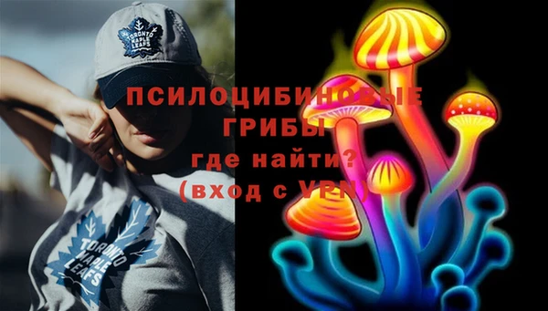 СК Верея